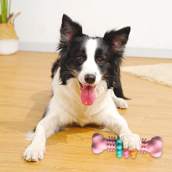 Dog Chew Toy Dog Bone Type Dogs Teeth Cleaning Toys Indestructible