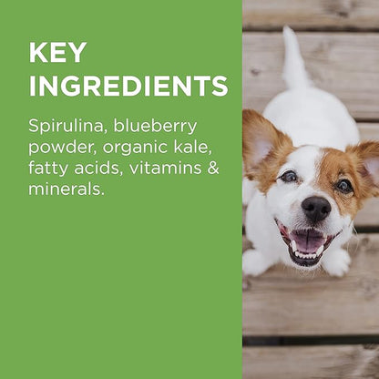 PAW Wellness and Vitality Chews