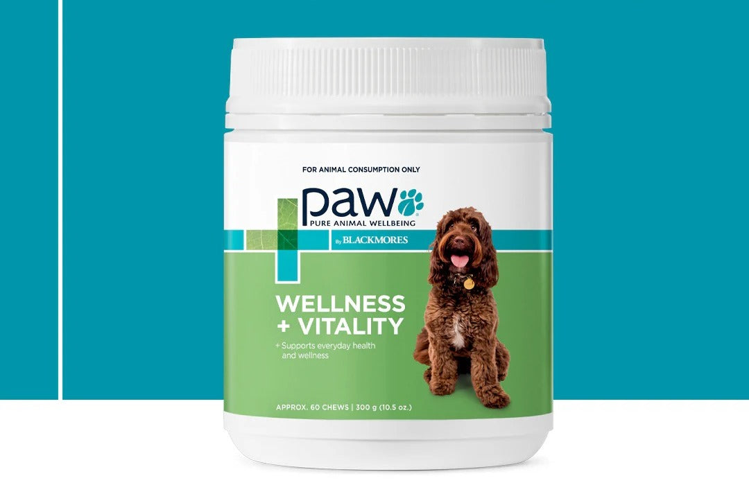 PAW Wellness and Vitality Chews