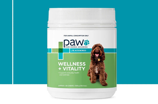 PAW Wellness and Vitality Chews