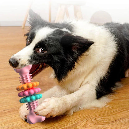 Dog Chew Toy Dog Bone Type Dogs Teeth Cleaning Toys Indestructible